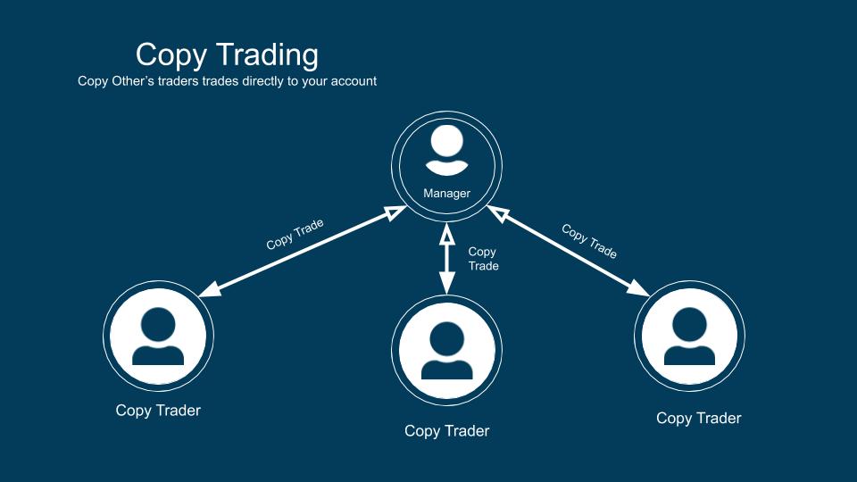 social trading - social trade